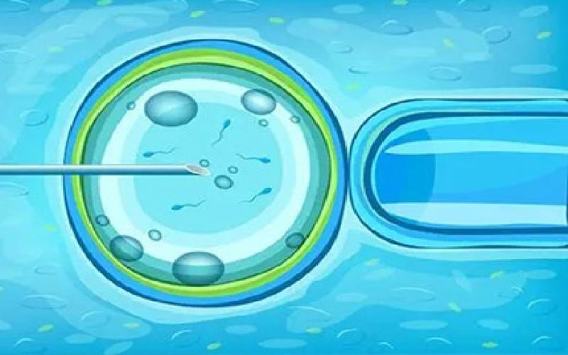 湖北试管最好医院排名代生